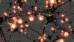 illustration évoquant les neurones et leurs synapses avec des lumières orange signifiant le signal nerveux